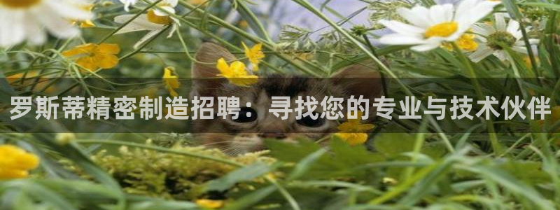 彩神骗局：罗斯蒂精密制造招聘：寻找您的专业与技术伙伴