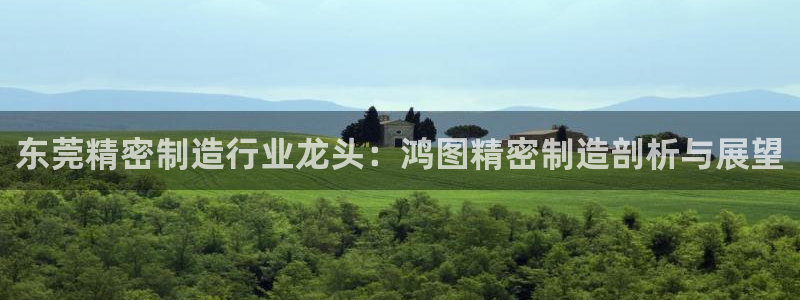 彩神争霸官方下载：东莞精密制造行业龙头：鸿图精密制造剖析与展望