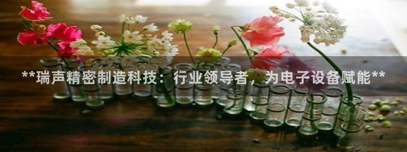 彩神v：**瑞声精密制造科技：行业领导者，为电子设备赋能**