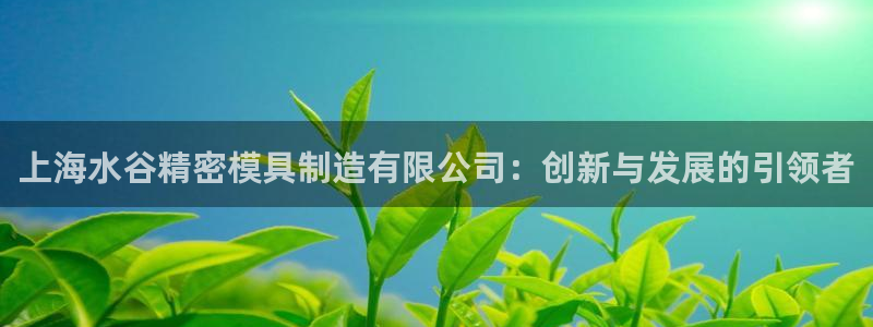 彩神8是正规平台吗：上海水谷精密模具制造有限公司：创新与发展的引领者