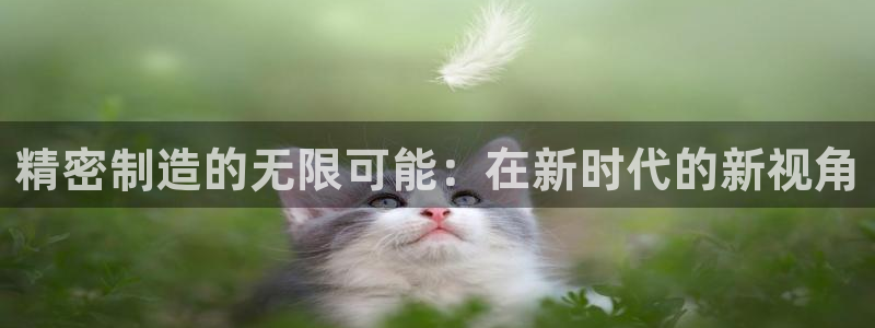彩神8彩平台官网：精密制造的无限可能：在新时代的新视角