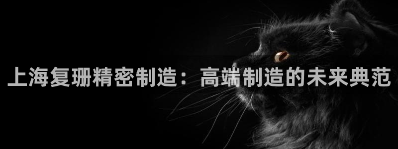 彩神8官网版是正规的吗：上海复珊精密制造：高端制造的未来典范