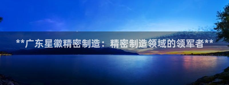 彩神v8平台正规吗知乎：**广东星徽精密制造：精密制造领域的领军者**