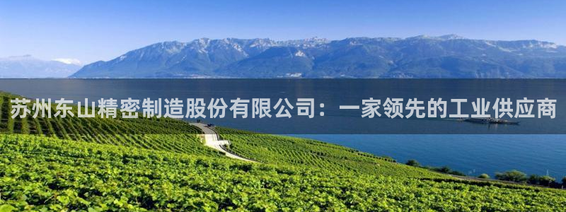 彩神官方网站登录是多少：苏州东山精密制造股份有限公司：一家领先的工业供应商