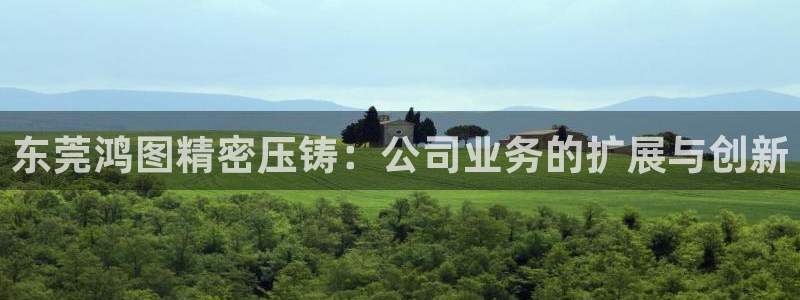 彩神新微聊：东莞鸿图精密压铸：公司业务的扩展与创新