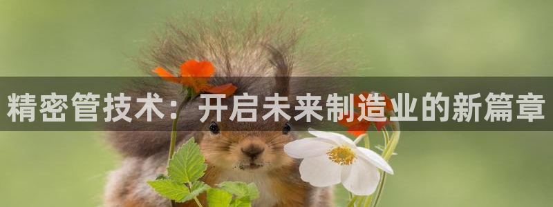 彩神8彩平台官网：精密管技术：开启未来制造业的新篇章