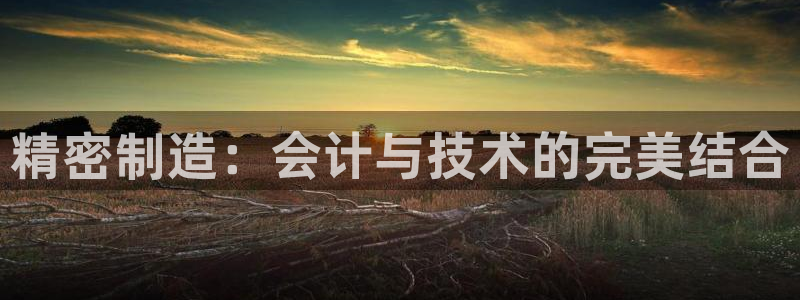 彩神v8手机客户端怎么下载：精密制造：会计与技术的完美结合