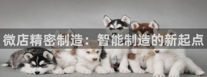 彩神v8是真的挣钱吗知乎：微店精密制造：智能制造的新起点