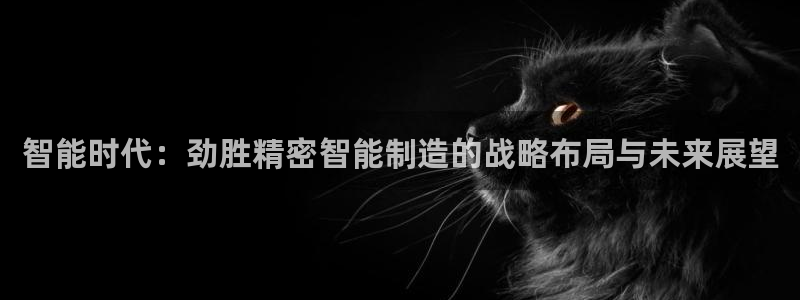 彩神ll能赚钱吗：智能时代：劲胜精密智能制造的战略布局与未来展望