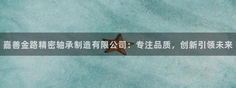 彩神是怎样一个平台赚钱的：嘉善金路精密轴承制造有限公司：专注品质，创新引领未来