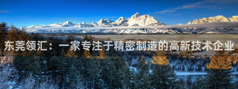 彩神vll首页：东莞