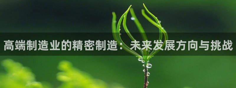 彩神vllⅰ购彩大厅：高端制造业的精密制造：未来发展方向与挑战