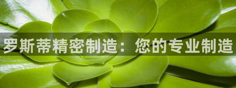 彩神vlll官方网：罗斯蒂精密制造：您的专业制造