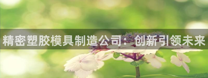 彩神vip购彩大厅：精密塑胶模具制造公司：创新引领未来