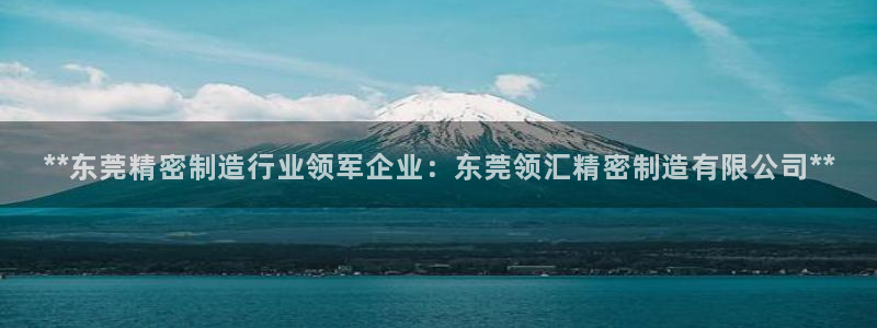 彩神趣购彩用户注册：**东莞精密制造行业领军企业：东莞领汇精密制造有限公司**