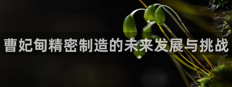 彩神ix平台：曹妃甸精密制造的未来发展与挑战