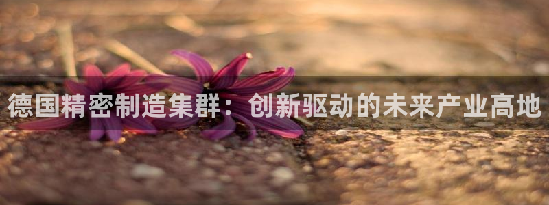 彩神app赚钱是真是假：德国精密制造集群：创新驱动的未来产业高地