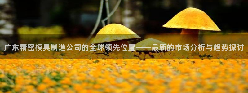 彩神ios下载：广东精密模具制造公司的全球领先位置——最新的市场分析与趋势探讨