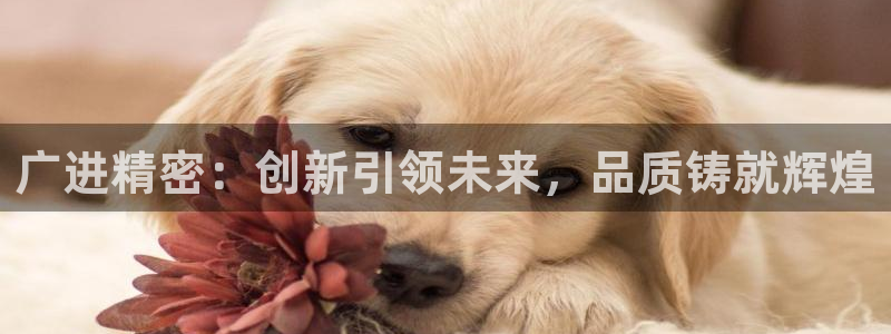 彩神官方邀请码是多少：广进精密：创新引领未来，品质铸就辉煌