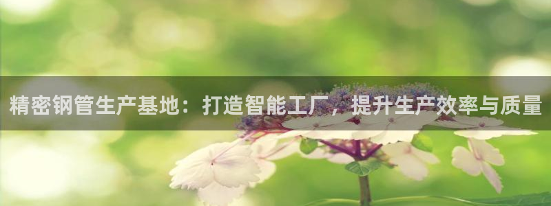 彩神这个平台是真的吗：精密钢管生产基地：打造智能工厂，提升生产效率与质量