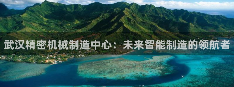 彩神vllⅰ购彩大厅：武汉精密机械制造中心：未来智能制造的领航者