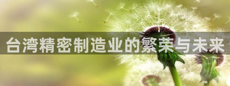 彩神v破解版：台湾精密制造业的繁荣与未来
