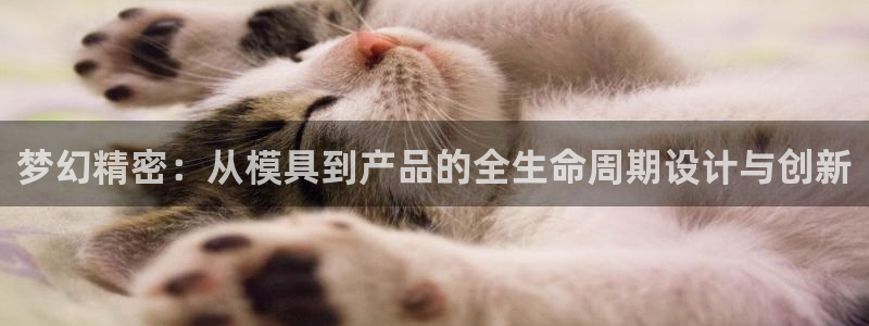 新版彩神v8登录不上去：梦幻精密：从模具到产品的全生命周期设计与创新