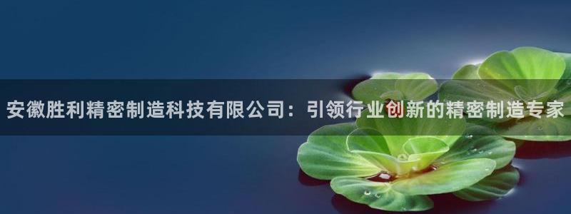 彩神8彩平台：安徽胜利精密制造科技有限公司：引领行业创新的精密制造专家