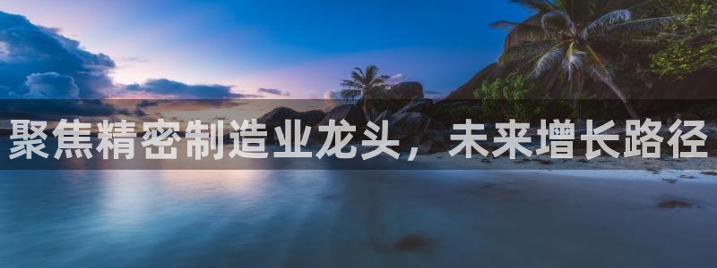 彩神旗下有哪些平台：聚焦精密制造业龙头，未来增长路径