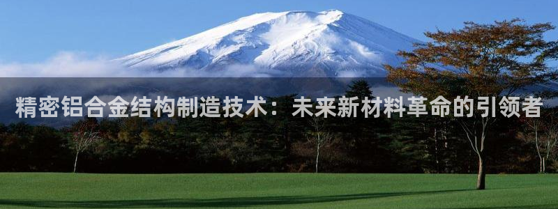 彩神v8是真的挣钱吗安全吗：精密铝合金结构制造技术：未来新材料革命的引领者