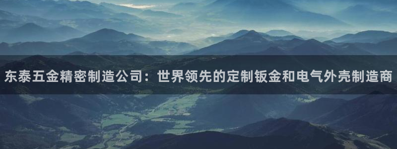 彩神购彩-购彩大厅入口下载：东泰五金精密制造公司：世界领先的定制钣金和电气外壳制造商