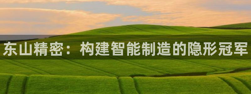 彩神ll能赚钱吗：东山精密：构建智能制造的隐形冠军