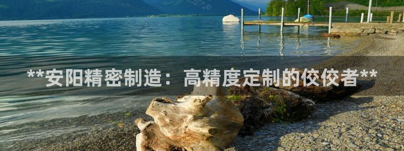 彩神大发如何观察走势：**安阳精密制造：高精度定制的佼佼者**