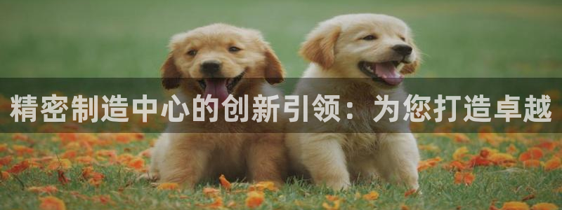 在彩神网输了六万多怎么拿回来：精密制造中心的创新引领：为您打造卓越