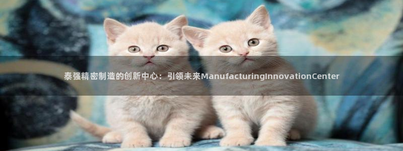 彩神通关注码金码对应码：泰强精密制造的创新中心：引领未来ManufacturingInnovationCent