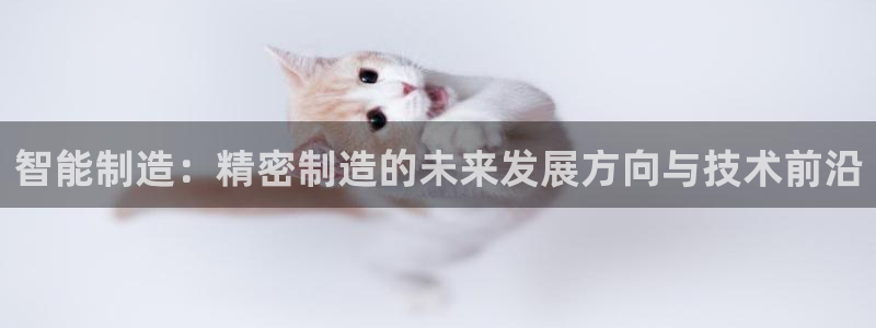 彩神ix官网是哪个公司的：智能制造：精密制造的未来发展方向与技术前沿