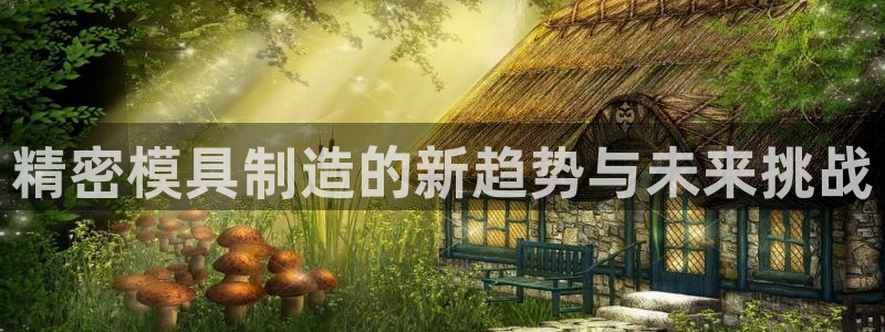 彩神8购彩-购彩大厅：精密模具制造的新趋势与未来挑战