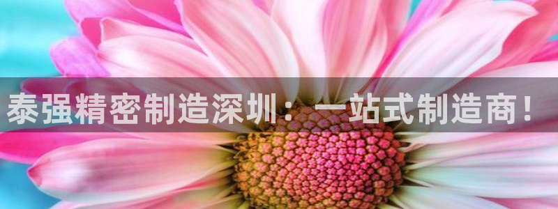 彩神通官方网：泰强精密制造深圳：一站式制造商！