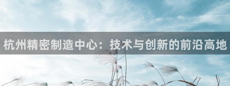 彩神ix官网是哪个公司的