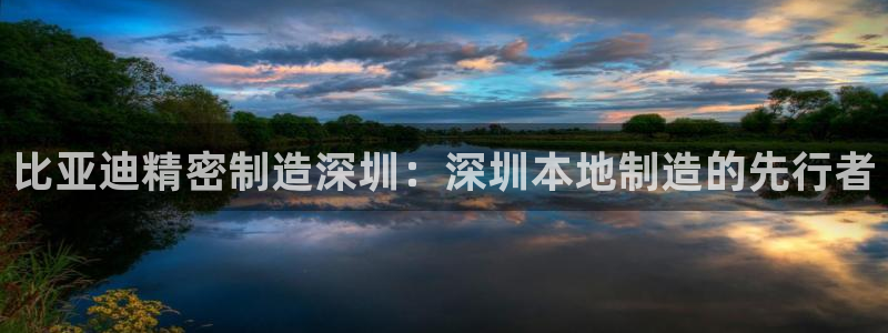 下载彩神v8：比亚迪精密制造深圳：深圳本地制造的先行者