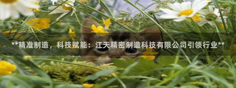 彩神v1破解器：**精准制造，科技赋能：江天精密制造科技有限公司引领行业**