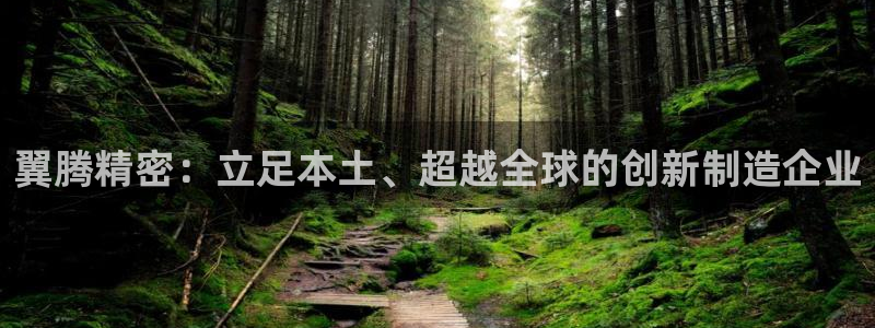 彩神vlll游戏特色：翼腾精密：立足本土、超越全球的创新制造企业