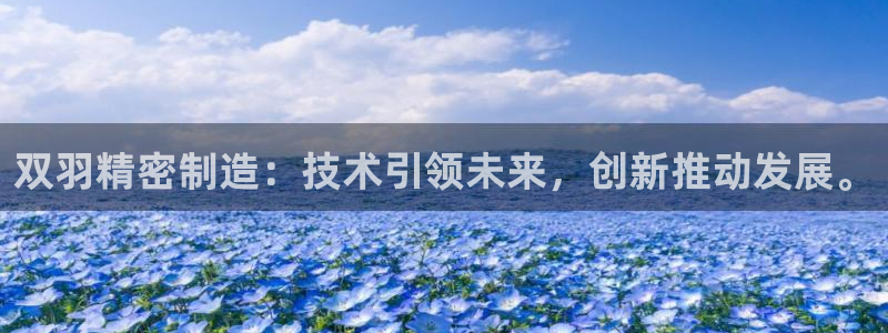 彩神争霸官方下载：双羽精密制造：技术引领未来，创新推动发展。