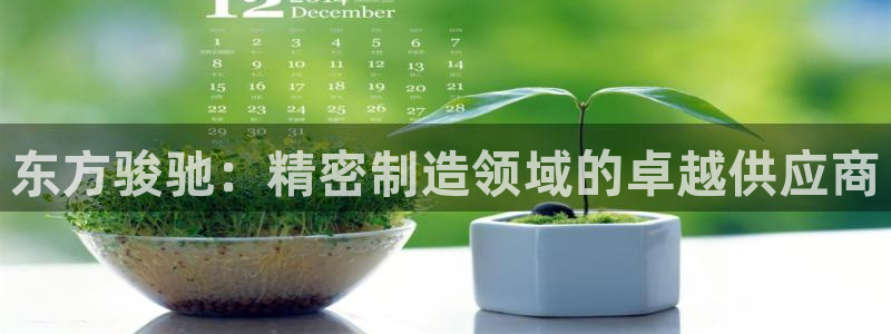 彩神v8是真的挣钱吗安全吗：东方骏驰：精密制造领域的卓越供应商