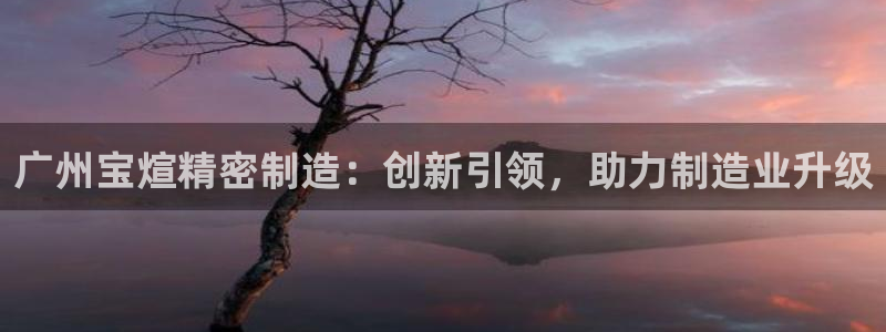 彩神V购彩大厅：广州宝煊精密制造：创新引领，助力制造业升级