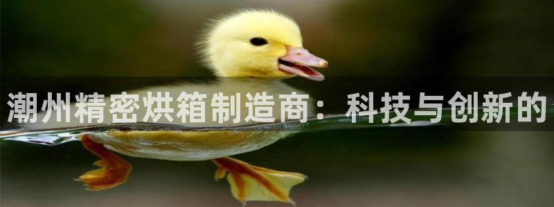 彩神iv能赚钱吗