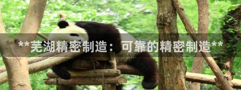 彩神通官方网：**芜湖精密制造：可靠的精密制造**