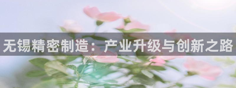 彩神是正规平台吗安全吗：无锡精密制造：产业升级与创新之路