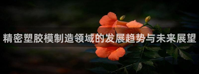 彩神V官网：精密塑胶模制造领域的发展趋势与未来展望