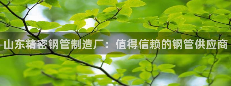 彩神正规吗：山东精密钢管制造厂：值得信赖的钢管供应商